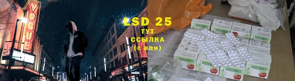 индика Белоозёрский