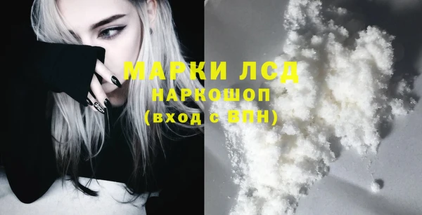 индика Белоозёрский