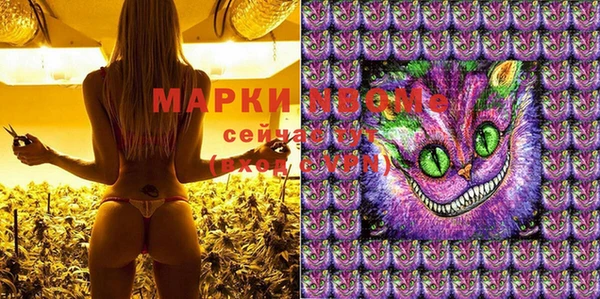 индика Белоозёрский