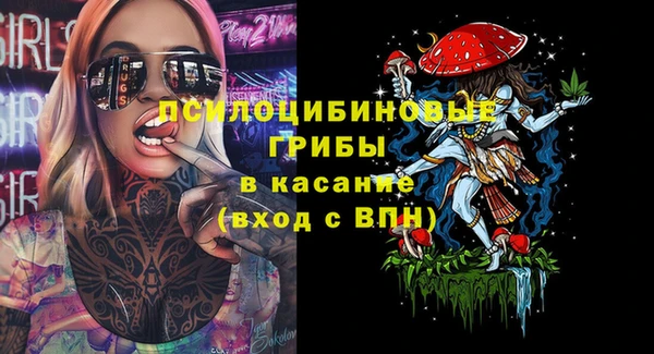 крисы Сосновка