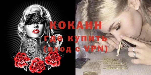 индика Белоозёрский