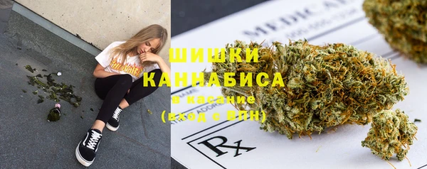 индика Белоозёрский