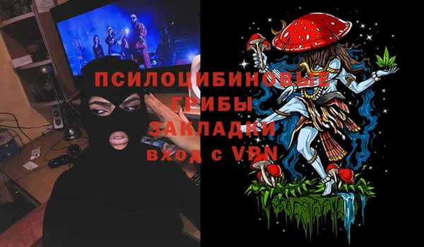 ALPHA PVP Белокуриха