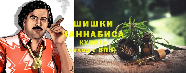 индика Белоозёрский