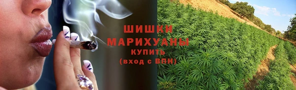 ALPHA PVP Белокуриха