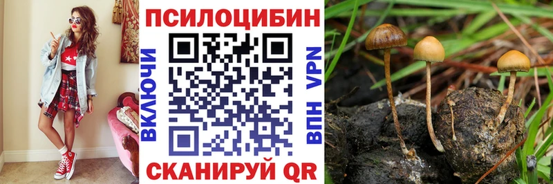 цены   Куса  Псилоцибиновые грибы Magic Shrooms 
